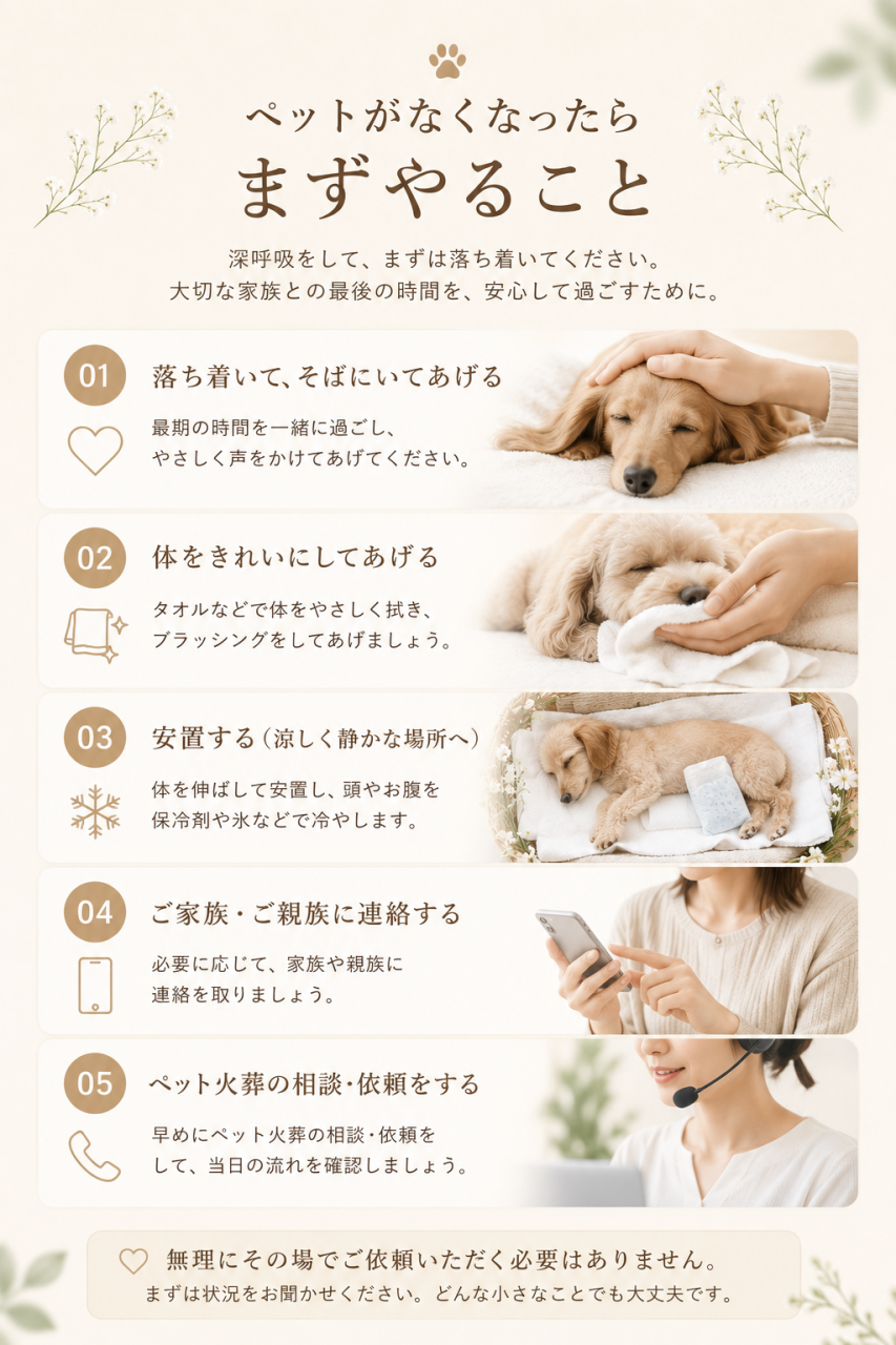ペットが亡くなったらまずやること